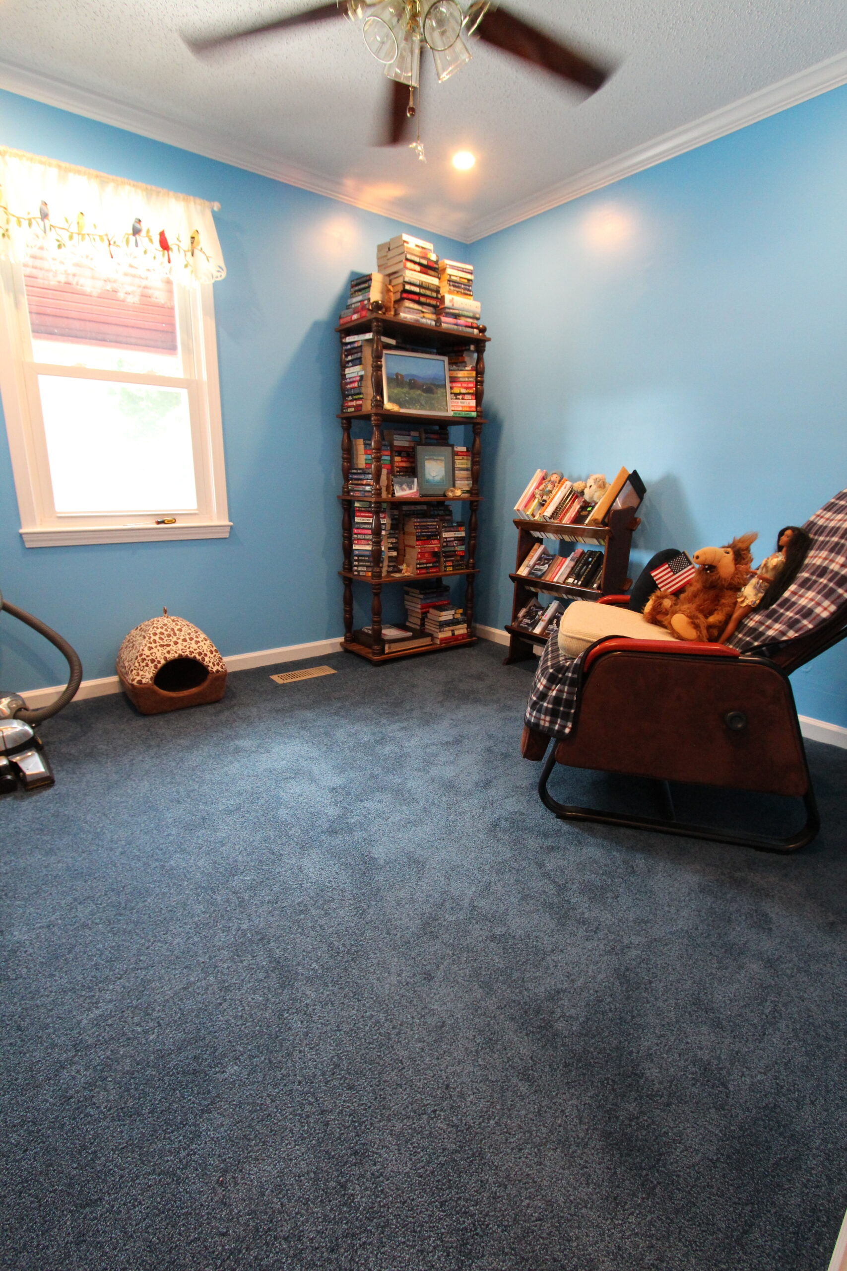 Blue Carpet bedroom