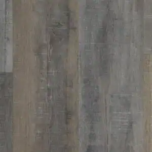 LVT - ECS21-921