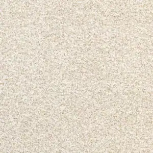 Carpet Flooring - 9720