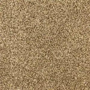 Carpet Flooring - 866