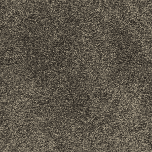 Cozy Companion II 12'