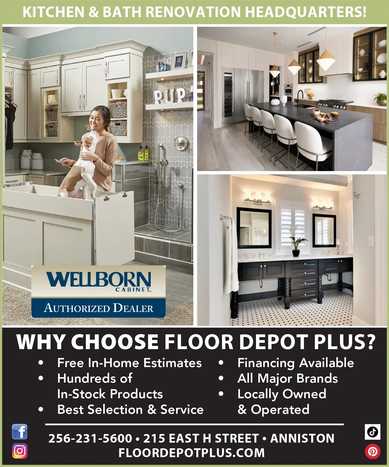 FDP Generic CABINET AD